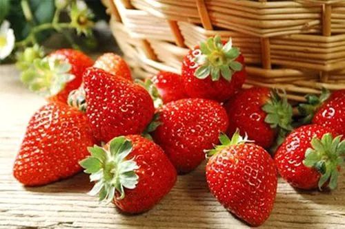 农作物科学施肥之草莓篇